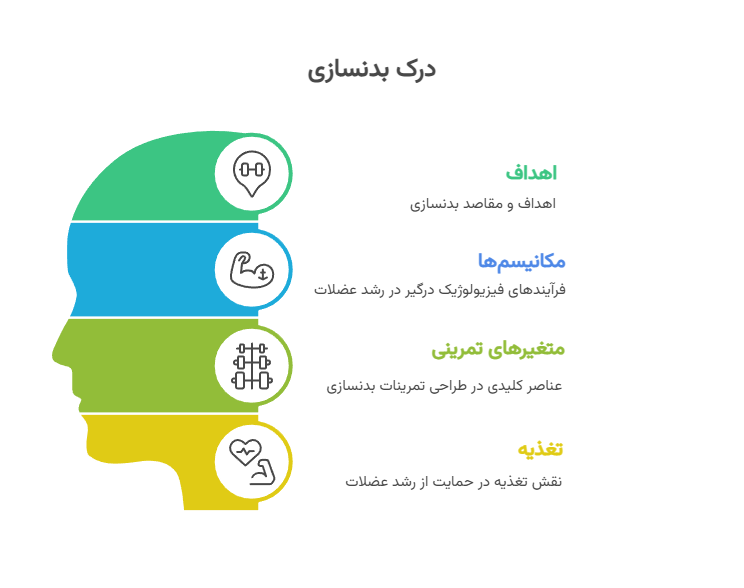 ورزش بدنسازی